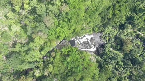 Hight angle view of waterfall in rain forest Stock Footage 335872597