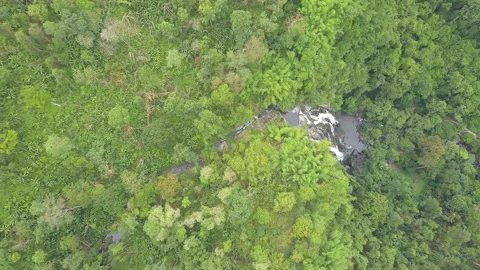 Hight angle view of waterfall in rainforest Stock Footage 335871302