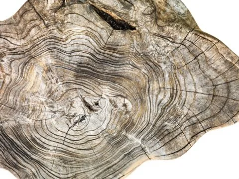 Hight rezolution wooden texture on white background 스톡 사진