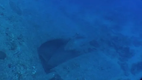 Hight View Shot Of Propeller, SS Thistlegorm Stock Footage 284997358