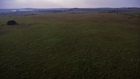 Highveld grasslands Stock Photos