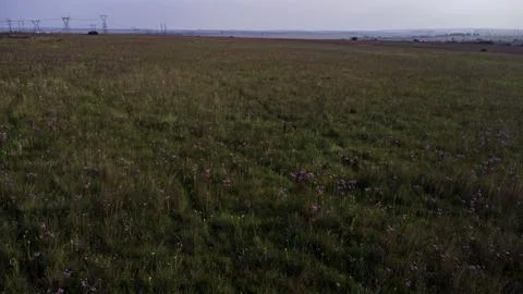 Highveld grasslands2 Stock Photos