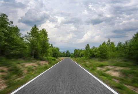 Highway among the trees. Stock Photos