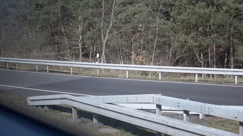 Highway and Forest View Stock Footage 312007995