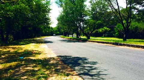 Highway and tree view Stock Photos