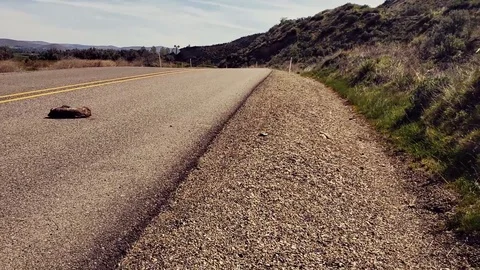 Highway Badger Video stock 88935388