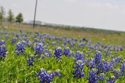 Off the Highway a Bit Foto stock