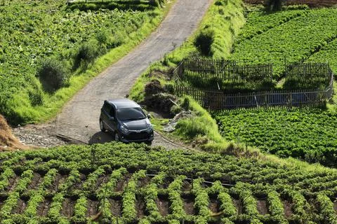 Highway on the Brakseng hill, East Java Stock Photos