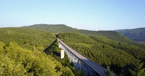 Highway bridge in nature Stock Footage 83460634