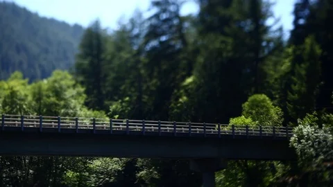 HIGHWAY BRIDGE OVER RIVER MAGICAL SCENE BUGS FLYING TREES BLOWING IN THE WIND Stock Footage 80694396