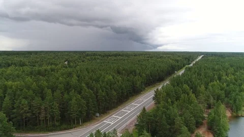 Highway in the coniferous forest Stock Footage 79404097