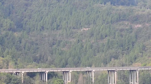 The highway is deep in the woods Stock Footage 220642768