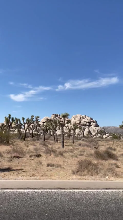 Highway drive through Joshua Tree  Video stock 218414314