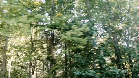 Highway driving view from a car Stock Footage 247452904