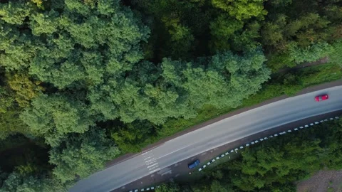 Highway in the forest aerial Stock Footage 168573438
