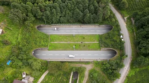 Highway in the Forest Stock Footage 331153932