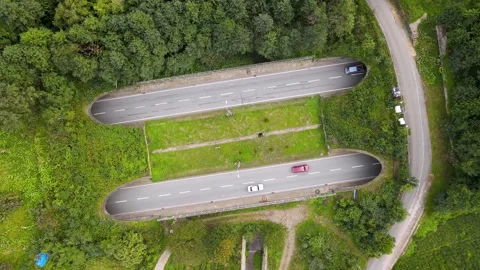 Highway in the Forest Stock Footage 332546537