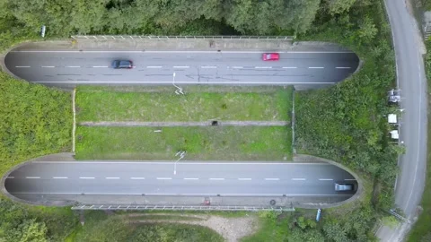 Highway in the Forest 스톡 동영상 332892973