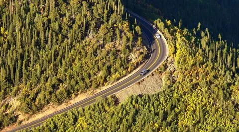 Highway in the forest Foto stock