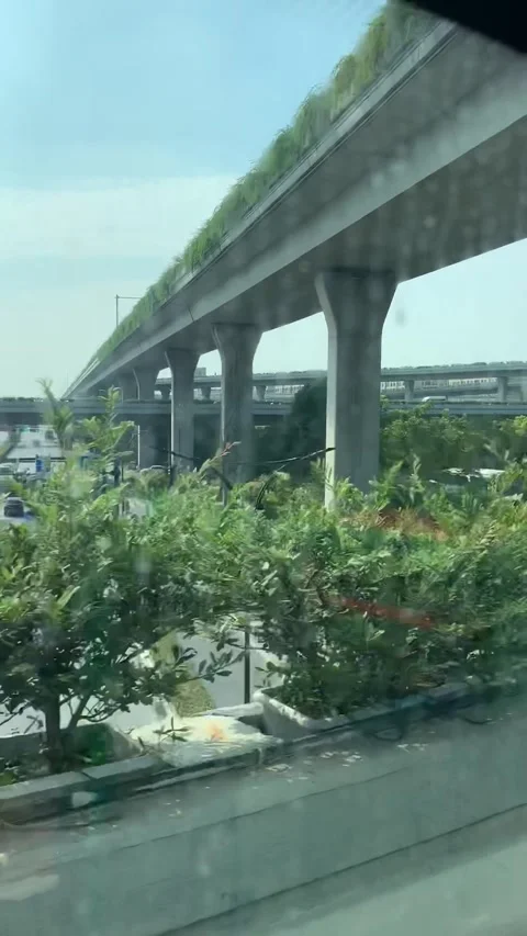 Highway in Hangzhou Stock-Footage 341362038