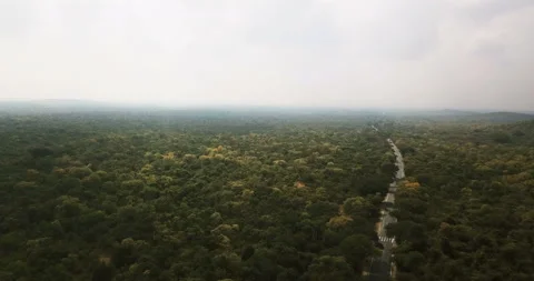 A highway inside dense green jungle in South India. Sathyamangala Forest Reserve Stock Footage
