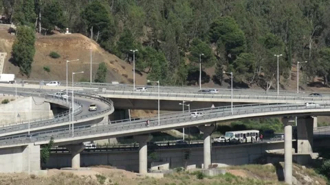 Highway Interchange Bridges Traffic. Freeway Forest Background. Stock Footage 155550361