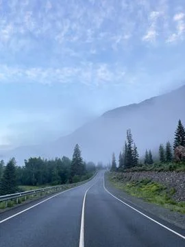 Highway in the mountains with pine trees and blue cloudy sky. Stock Photos