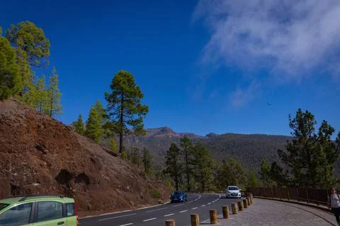 Highway in the mountains with pine trees in the background in Tenerife Foto stock