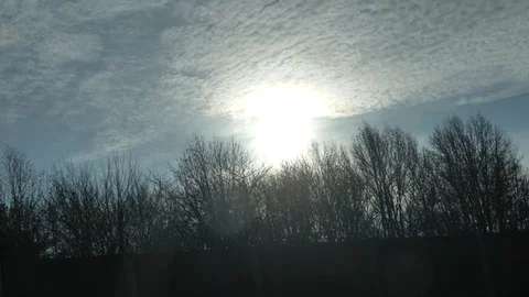 On highway moving passed silhouette trees sun 動画素材 121072002