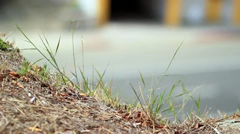 Highway out of focus 스톡 동영상 10910731