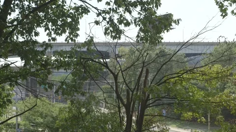 Highway overpass through trees Stock Footage 304367340