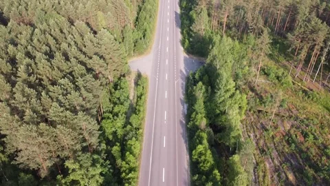 The highway passes through the Ukrainian forest Stock Footage 230909909