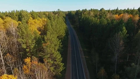 Highway road between trees at green forest. Aerial of truck driving Stock-Footage 80901158