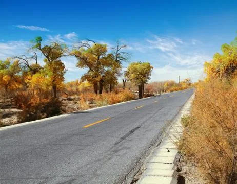 Highway road in forest Stock Photos