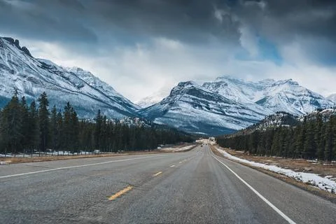 Highway road on the Icefields Parkway with rocky mountains and pine forest .. Stock Photos