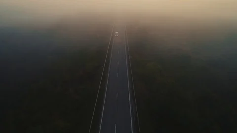 The highway road located in the middle of forest amidst fog, during the eveni Video stock 114442331