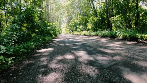 Highway. A road overgrown with trees. Video stock 132852749