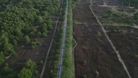 Highway road through green forest with heather and ecoduct Stock Footage 249065833
