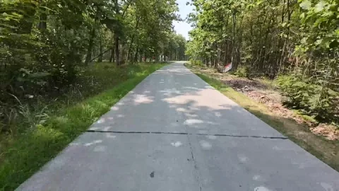 Highway scene through deep forest in the district of Ngawi, East Java, Indonesia Stock-Footage 317534347
