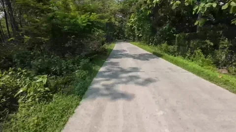 Highway scenery through deep forest in the district of Ngawi, East Java Stock-Footage 317533655