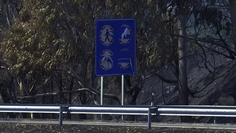 HIGHWAY SIGNAL SURROUNDED BY A FOREST AFTER FOREST FIRE Stock Footage 209141102
