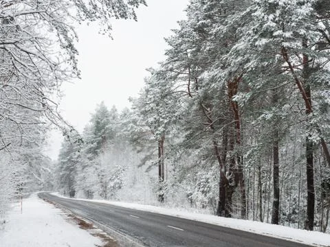 Highway in a snowy forest Stock Photos