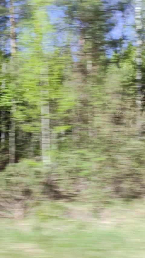 Highway speed. Blurred background of trees and bushes Stock Footage 311858000
