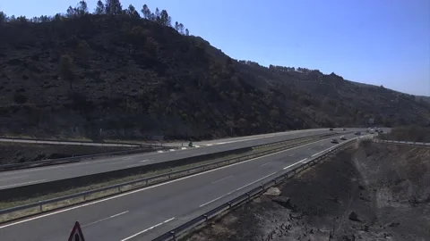 HIGHWAY SURROUNDED BY A FOREST AFTER FOREST FIRE Stock Footage 209141103