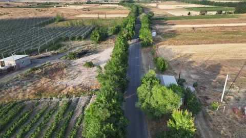 Highway Surrounded by Gardens 2 Vídeos de archivo 337192270