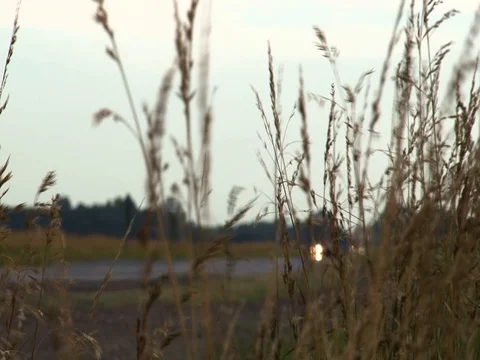 Highway surrounded by wheat fields 02 Stock Footage 128466718