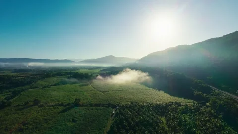 Highway Through Farm Stock Footage 318096835