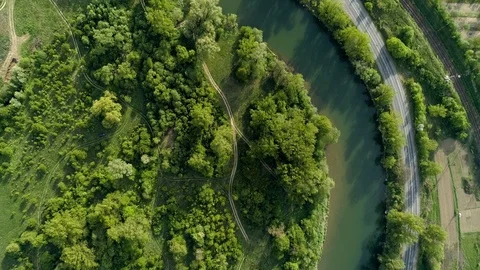 Highway through the forest along the river. Stock Footage 106997235