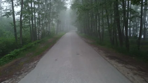 Highway through the forest Stock Footage 161594453