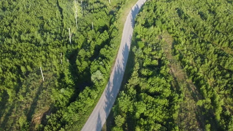 Highway through the forest Stock Footage 166602732